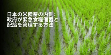 日本の米備蓄の内側：政府が緊急食糧備蓄と配給を管理する方法