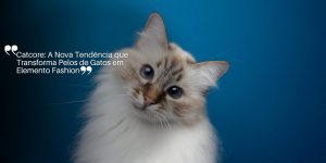 MUNDO HOJE (2)
