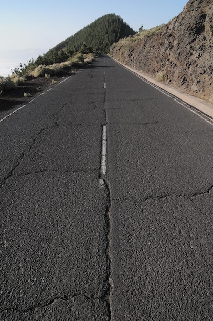 A close-up shot of a cracked road surface in California, with a toppled traffic light in the background. The image symbolizes the infrastructural damage caused by the earthquake and the disruptions to daily life.