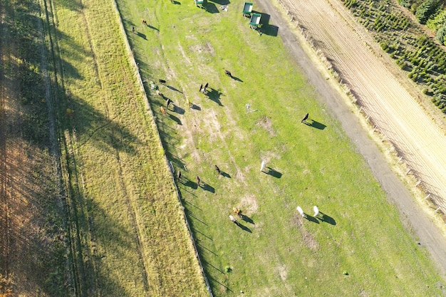 ITR 2025: Guia Completo para Declarar o Imposto sobre a Propriedade Territorial Rural