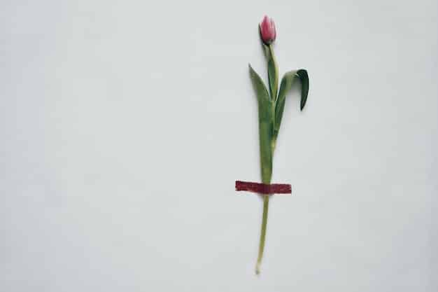 A split image showing a single wilting flower on one side and a bouquet of vibrant, diverse flowers on the other. The title above reads 