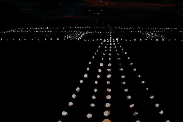 A winding road ahead, lit up at some parts and darker at others, symbolizing the varying economic paths and predictions.