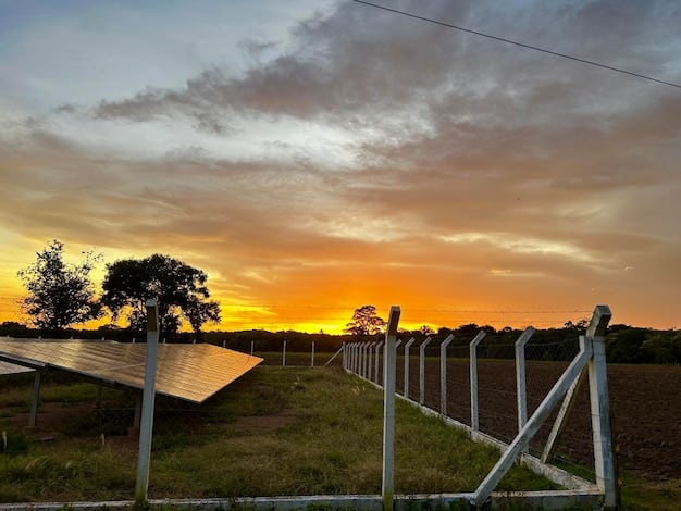 A solar panel farm in a rural area, with rows of panels stretching into the horizon, generating clean and sustainable energy, symbolizing renewable energy investments in Brazil.