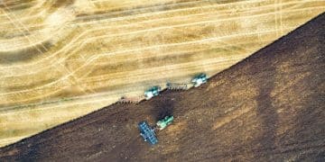 Exportações de Soja Disparam 20% em Julho: Análise e Impacto no Agronegócio - Cover Image