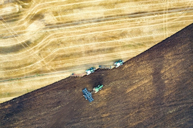 Exportações de Soja Disparam 20% em Julho: Análise e Impacto no Agronegócio