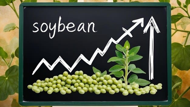 Graph showing the increase in soybean exports from Brazil over the past year, highlighting the significant jump in July. Include annotations pointing out key data points and trends.