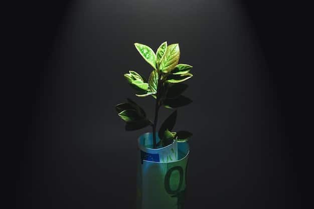 A visual representation of long-term financial growth, showing a young plant growing into a strong tree, with coins representing savings and investments as its roots. The image symbolizes the benefits of early financial education and planning.