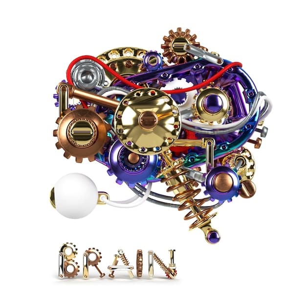 A brain with gears turning, representing cognitive processes involved in financial decision-making.
